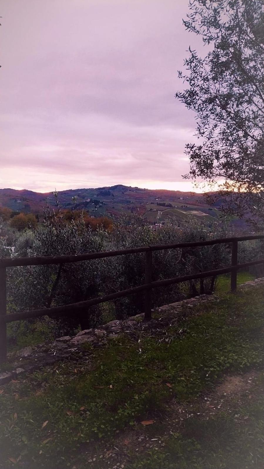 Agriturismo La Camporena Greve in Chianti Eksteriør billede