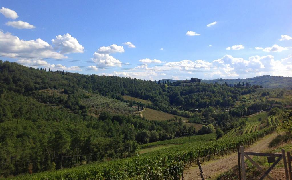Agriturismo La Camporena Greve in Chianti Eksteriør billede