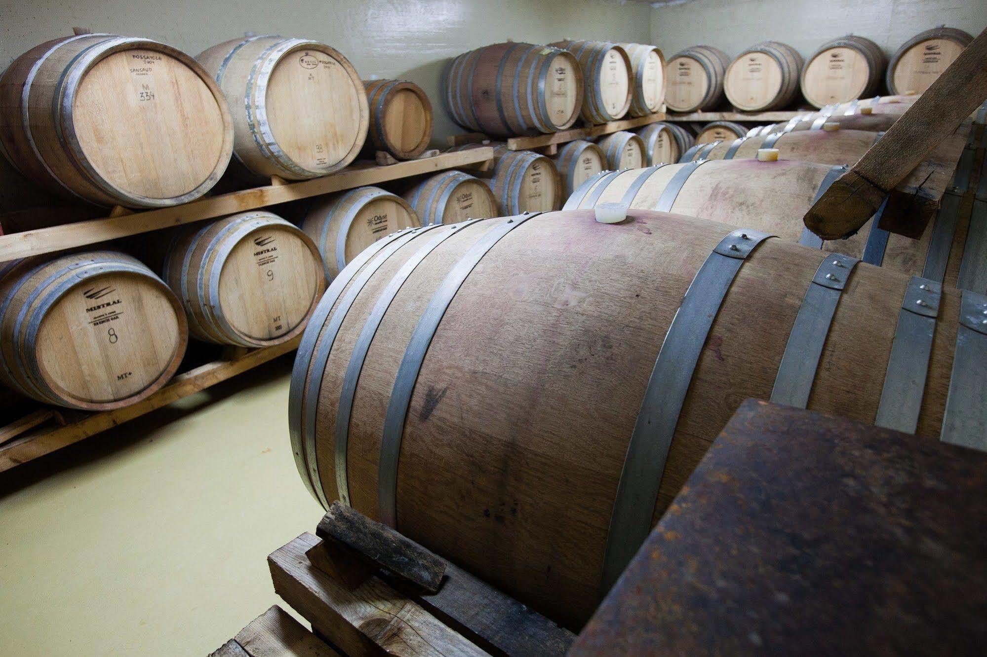 Agriturismo La Camporena Greve in Chianti Eksteriør billede